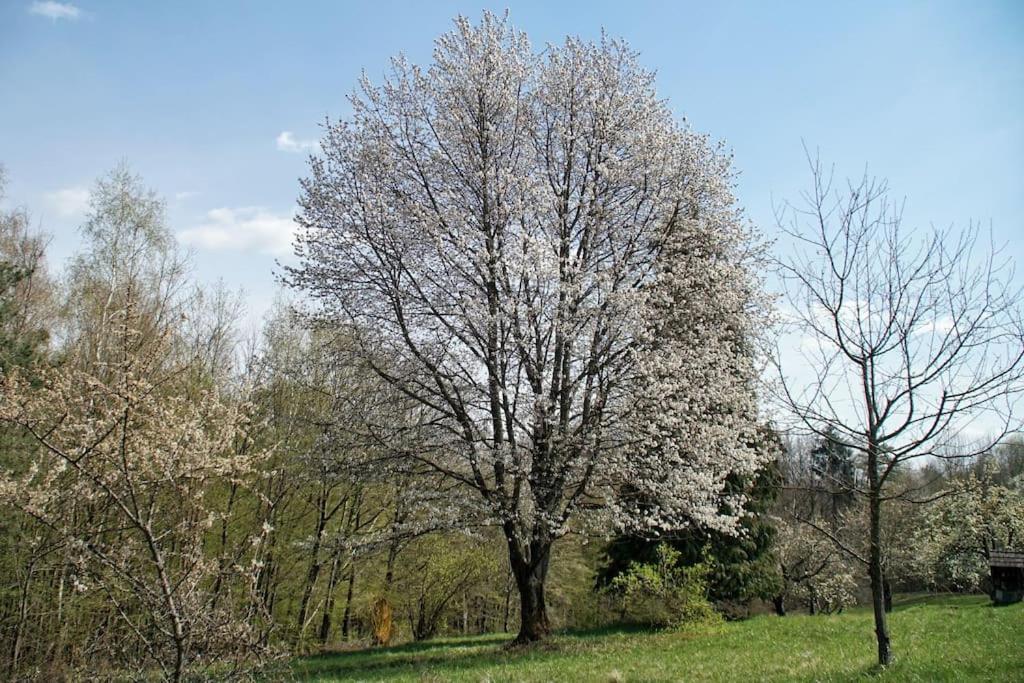 Stilvolles Landhaus im Dreiländereck Felsőszölnök Exterior foto